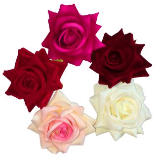 apna showroom 5 rose pin brooch for men or women